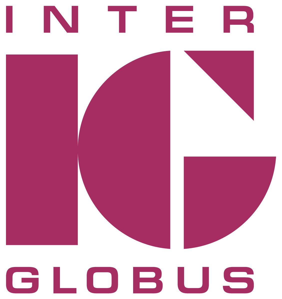 ig logo